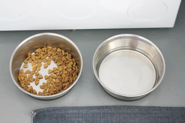 银狗食品和水碗在泥房洗房间中。