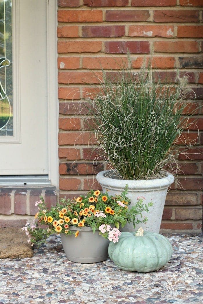 一个简单的花盆和一个南瓜是一个经济实惠的秋季户外装饰主意