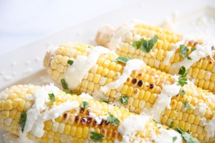 墨西哥玉米在白色盘子上的玉米棒食谱。GydF4y2Ba