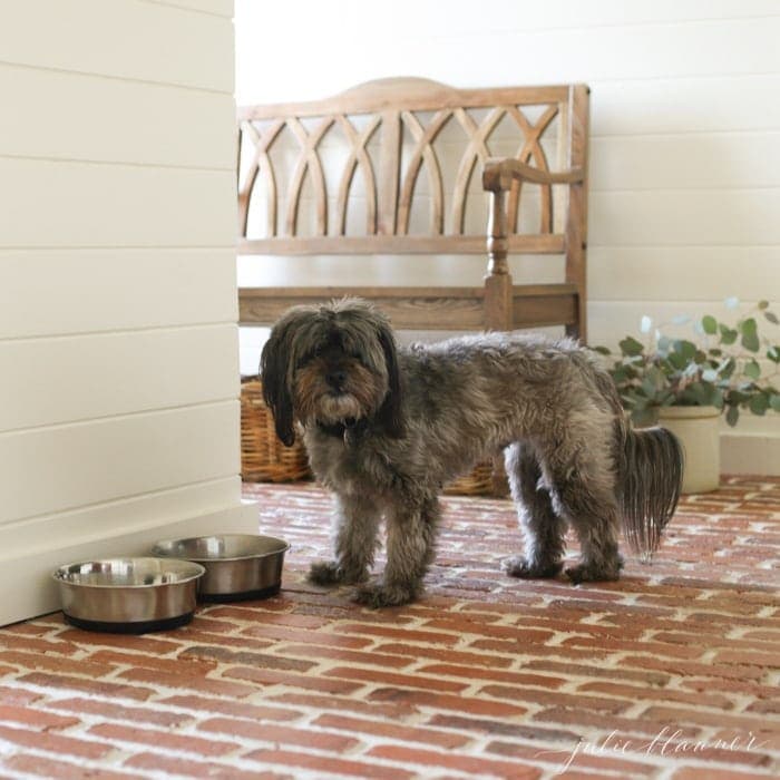 如果您有宠物，砖泥房地板易于清洁，真空和完美