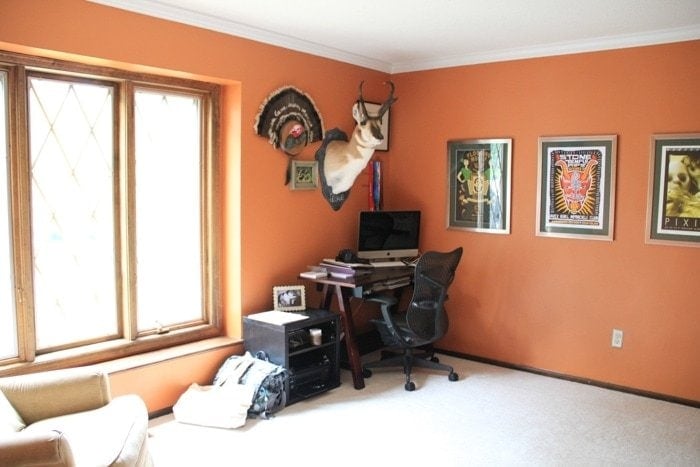 一间漆成橙色、墙上有一只鹿的房间
