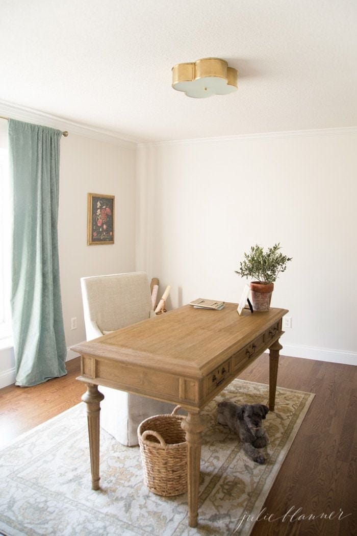 一个家庭办公室，奶油色的墙壁被漆成苏黎世西南部的白色，一只狗躲在桌子下面