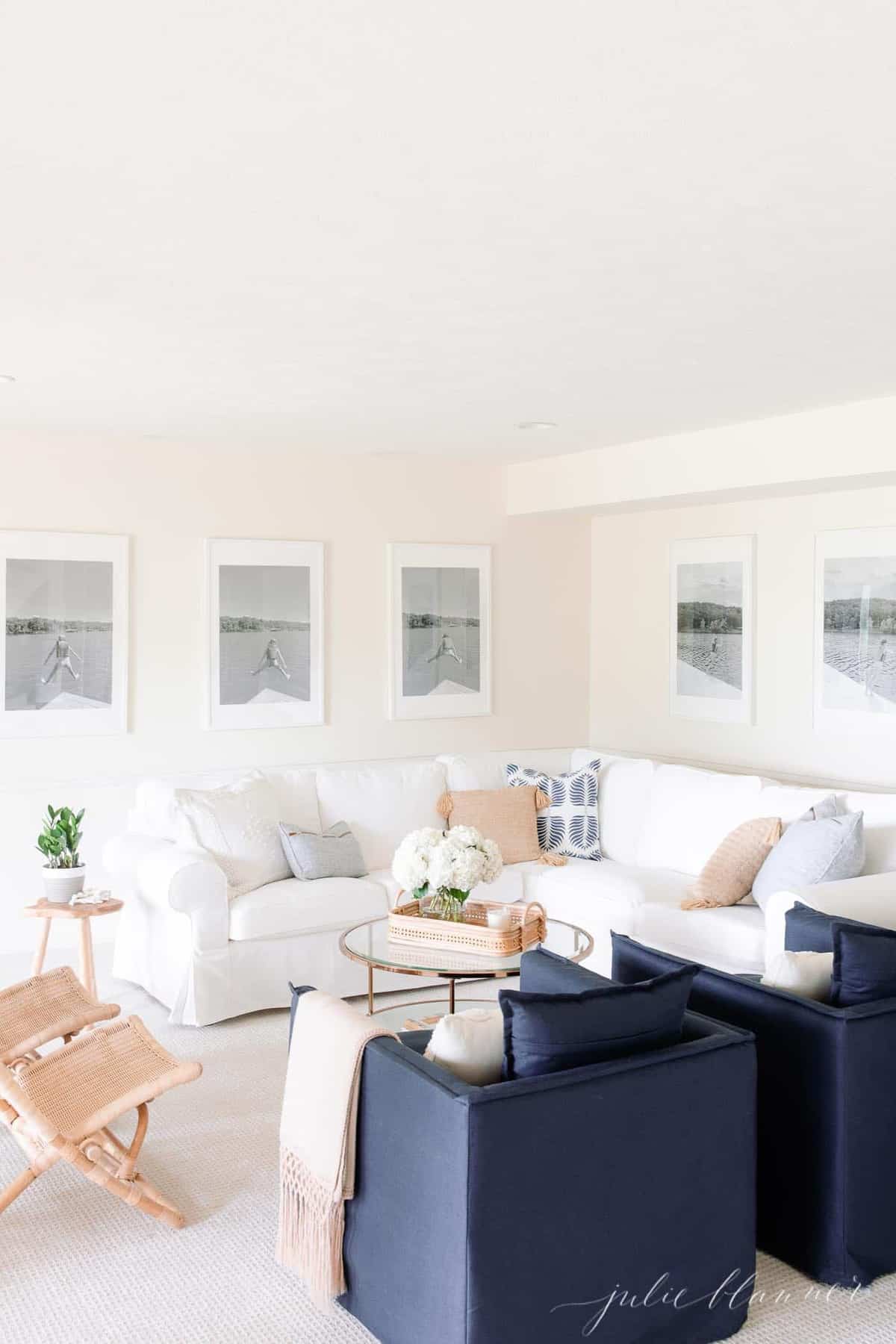 白色和蓝色的客厅与湖泊的风格