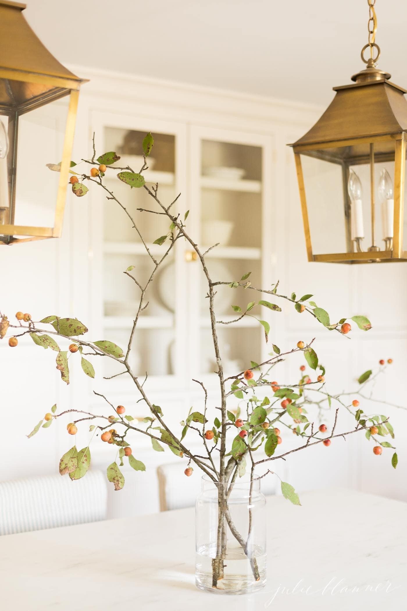落下的树枝和浆果在玻璃花瓶里，在一个全白的厨房，黄铜灯笼上面。