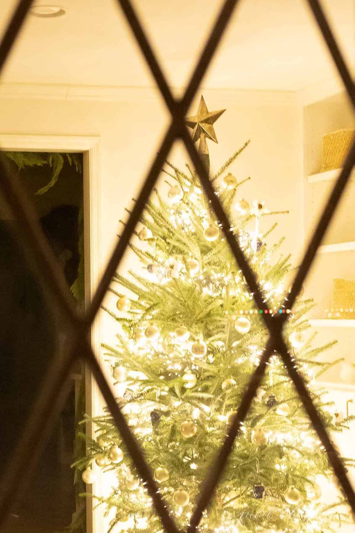 从窗口看到的圣诞树。