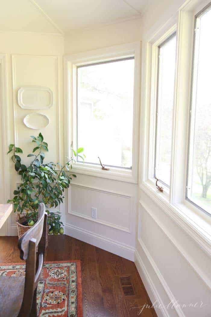 一间有很多窗户的白色房间，篮子里有一棵盆栽矮柠檬树。
