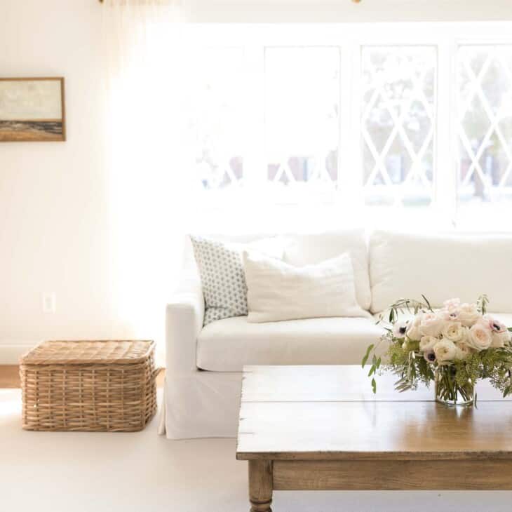 极简主义客厅，白色沙发，木质茶几。