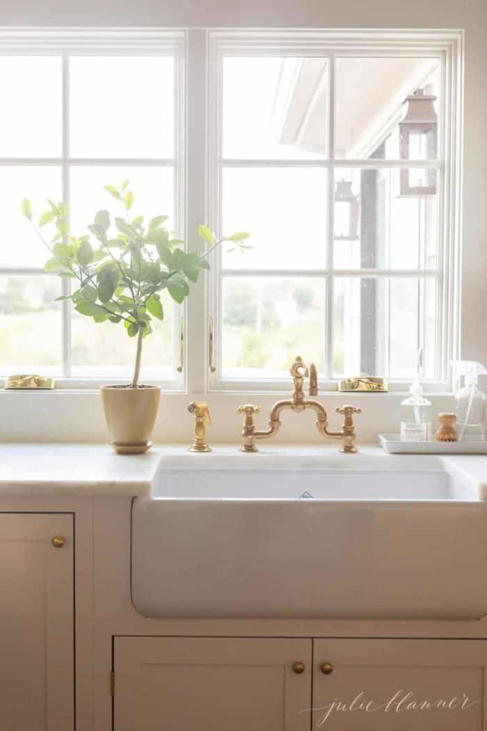 一个简单的厨房水槽形象与柠檬树修剪在一个阳光充足的窗口。