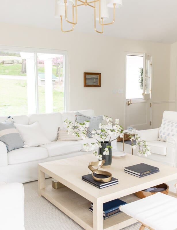 沿海风格的客厅，带有白色套餐的沙发和荷兰门