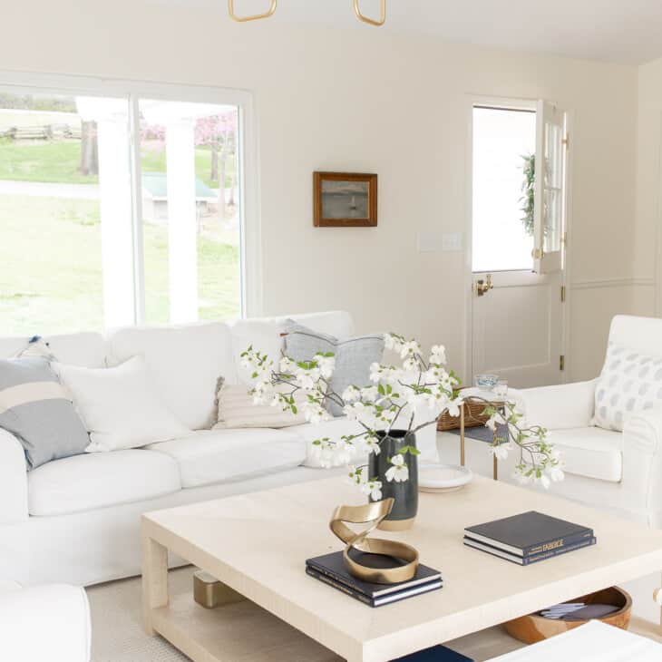 沿海风格的客厅，带有白色套餐的沙发和荷兰门