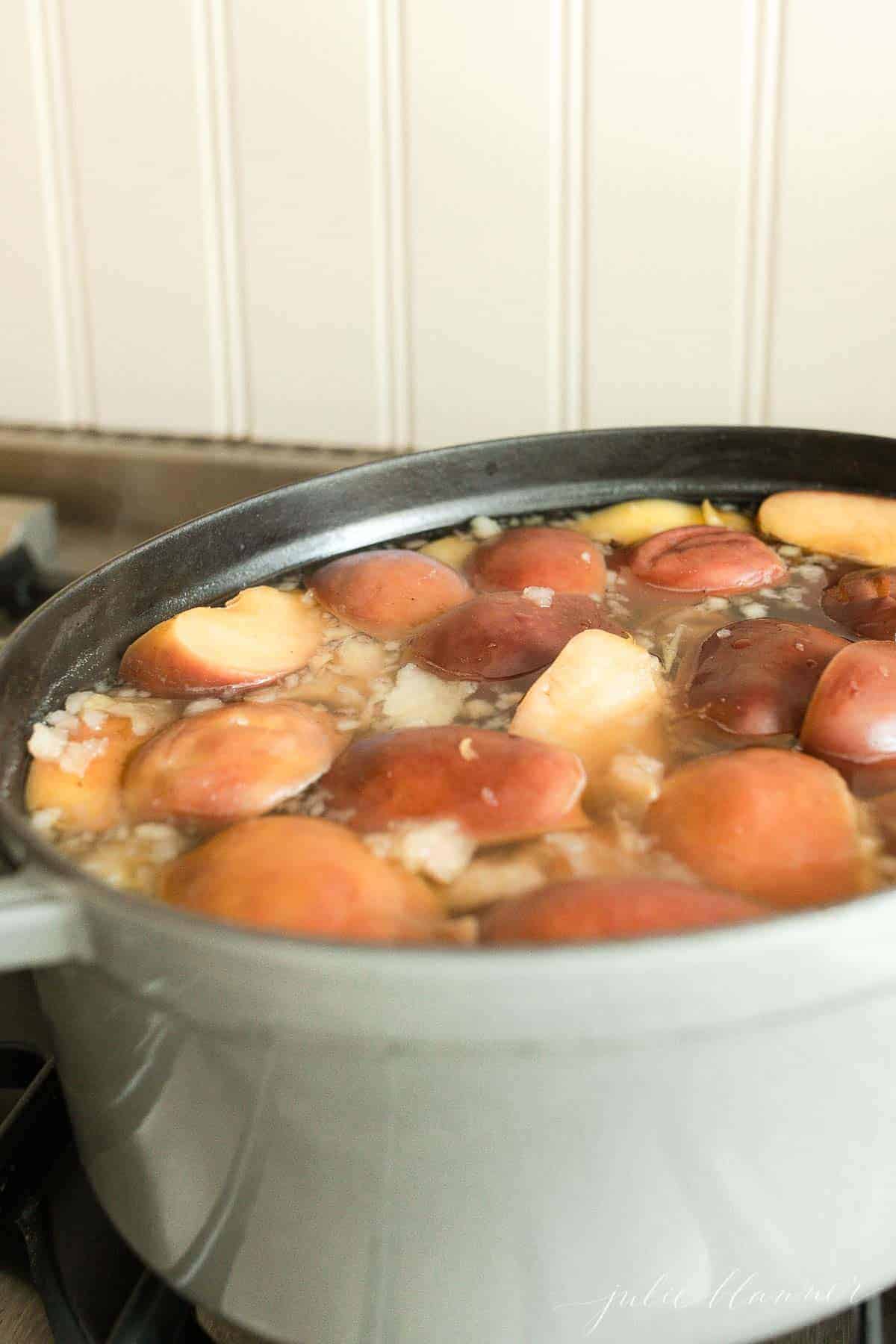 炉子上的一个灰色铸铁锅，里面盛着煮熟的苹果和橘子，用来自制苹果酒。gydF4y2Ba