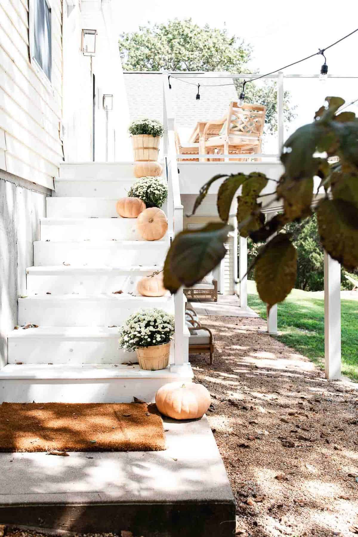 白色的台阶上装饰着极简主义的秋季装饰，桃红色的南瓜和白色的菊花。