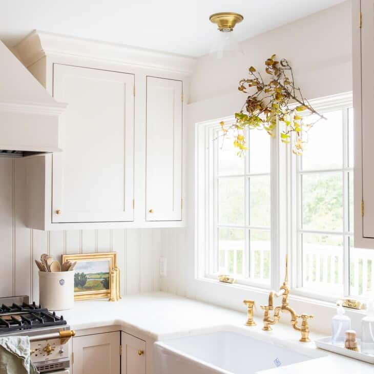 一个白色的厨房，水槽的窗户上挂着一根垂枝。