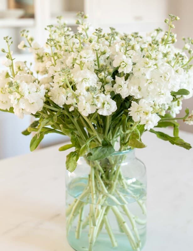 在大理石表面上的透明玻璃花瓶中的白色储备花卉排列。