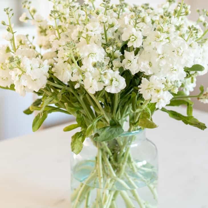 大理石表面透明玻璃花瓶中的白色花托插花。