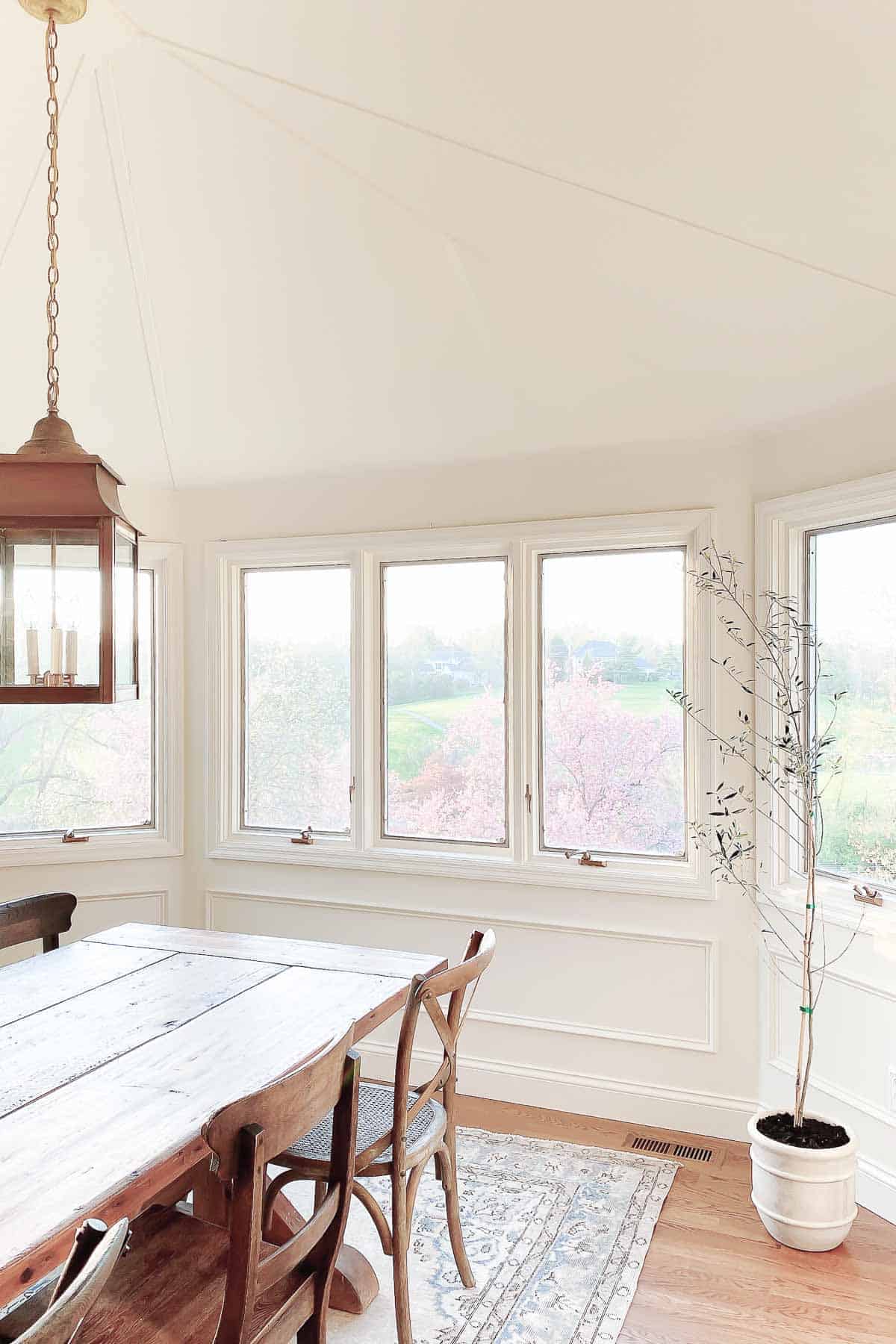 一间有很多窗户的白色餐厅，一张木制农场餐桌，角落里有一棵室内橄榄树。