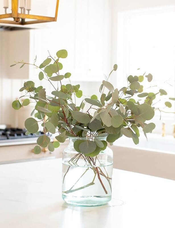 一个白色厨房岛上的透明玻璃花瓶，里面充满了银元桉树。