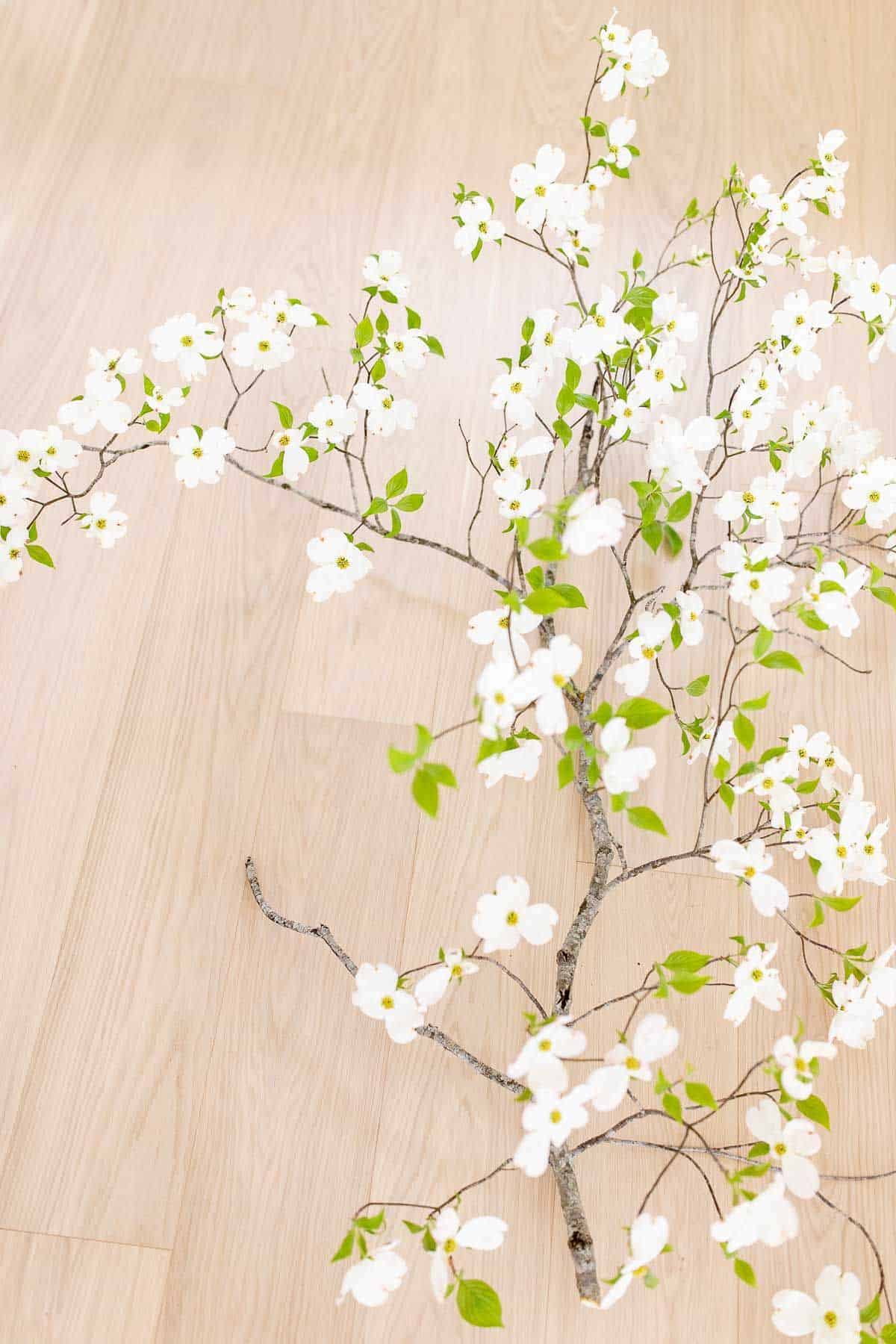 白橡木地板，白色盛开的山茱萸树枝横放。