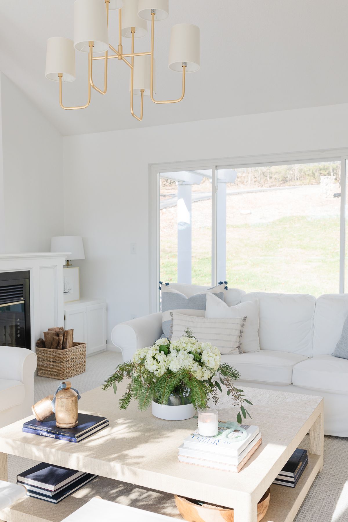 一个带白色家具的客厅，涂在本杰明摩尔·杜勒·山雀蕾丝