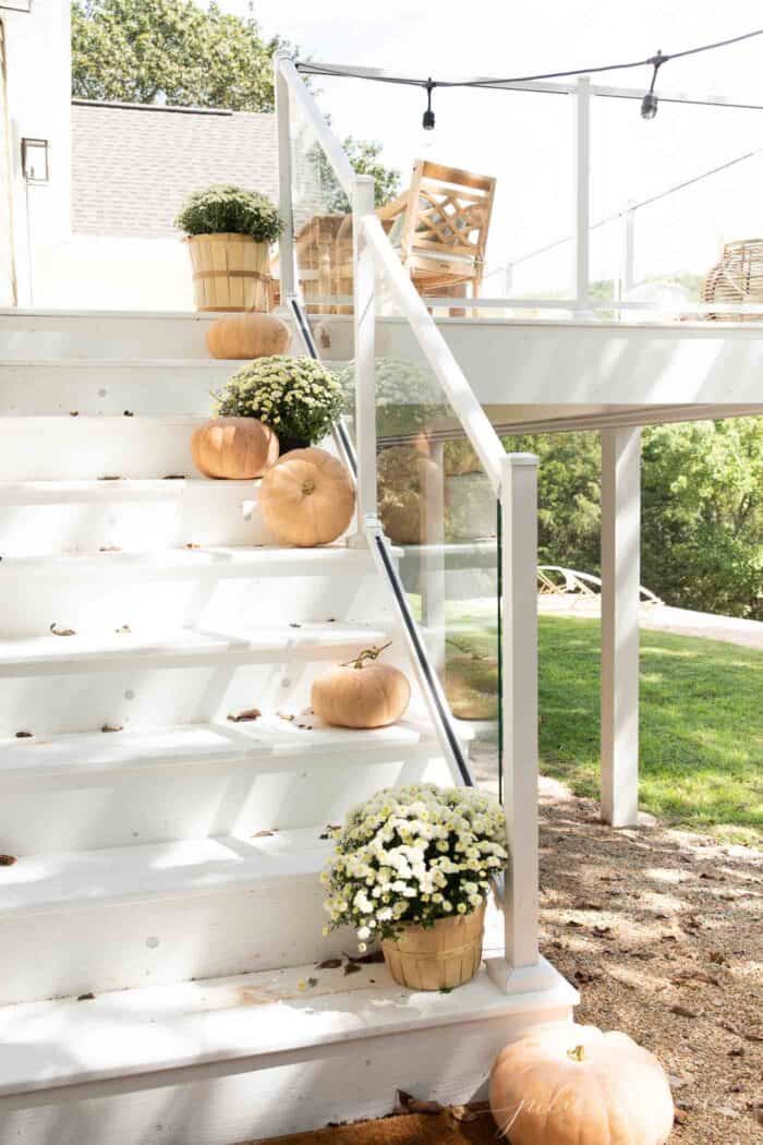 白色的甲板台阶装饰着极简主义的秋季装饰，桃子南瓜和白色的妈妈。